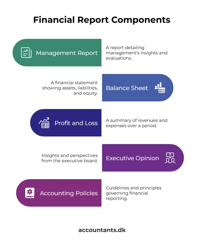 ApS company in Denmark   financial report